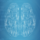 Illustration for article titled Save Hundreds On The Complete Machine Learning AI Bundle em/em